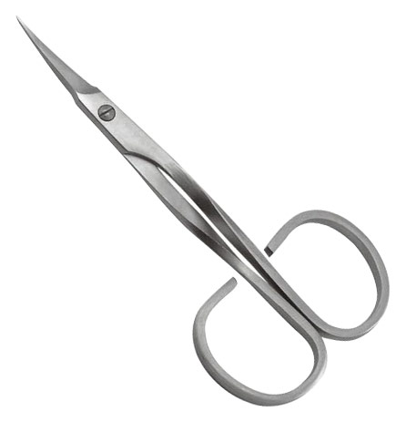 Common Scissors